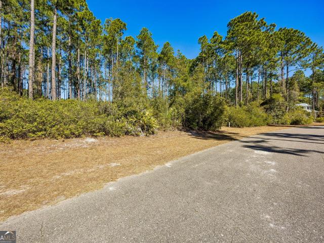 Land for sale in Georgia