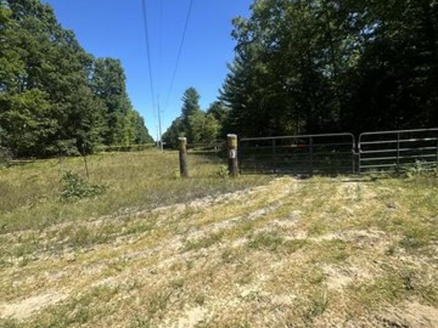 Land for sale in Rothbury, Michigan