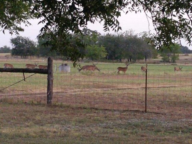 Farm for sale in Milam, Texas