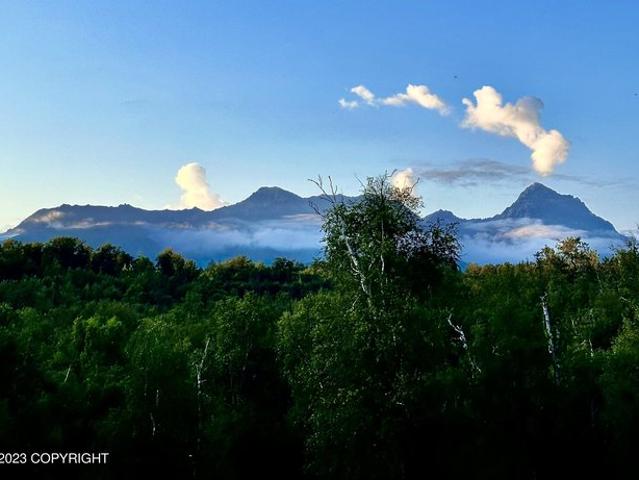 Land for sale in Palmer