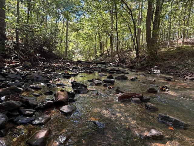 Land for sale in Heflin, Cleburne County