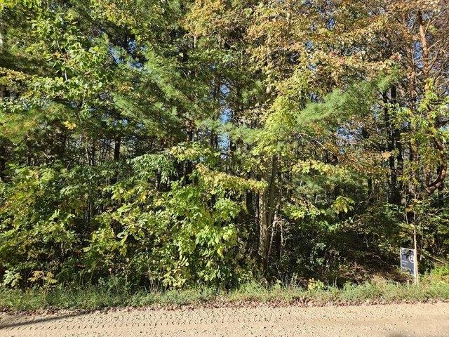 Land for sale in Beaverton, Michigan