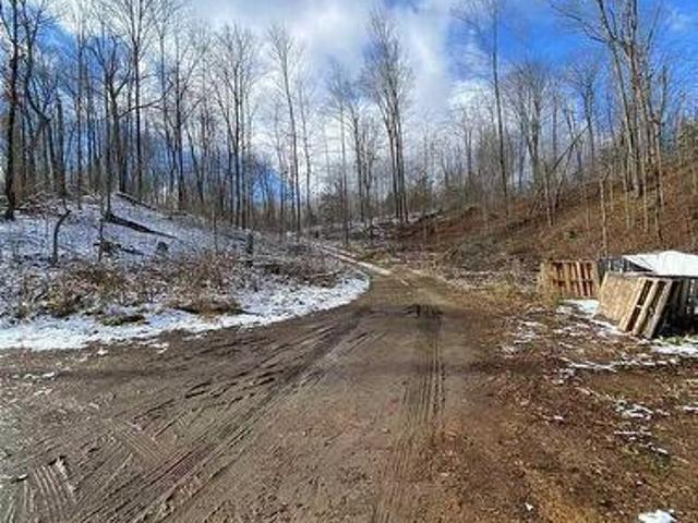 Farm for sale in Ontario