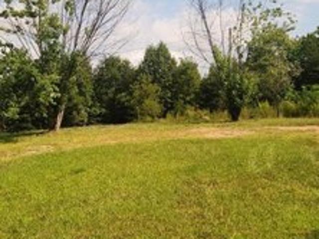 Land for sale in Bassett, Henry County