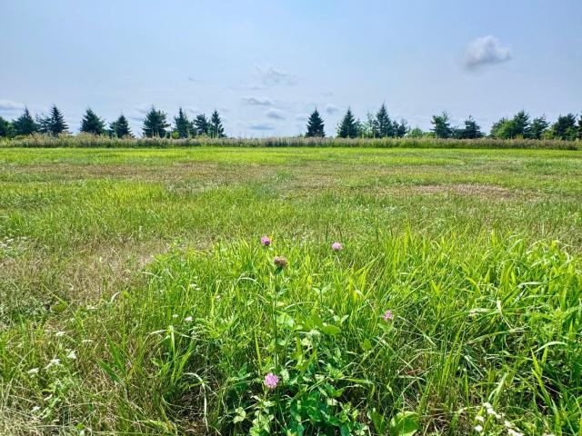 Land for sale in Rockville, Minnesota