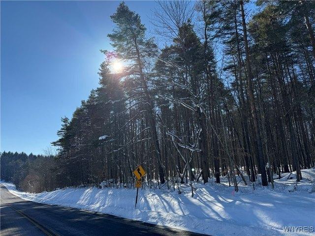 Land for sale in Darien Center, New York