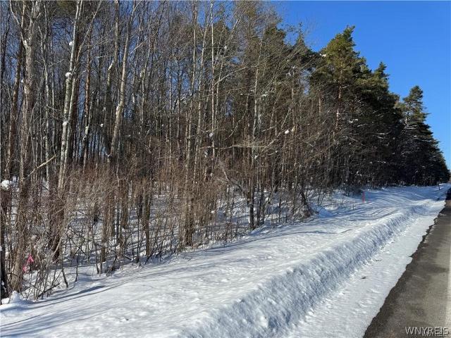 Land for sale in Darien Center, New York