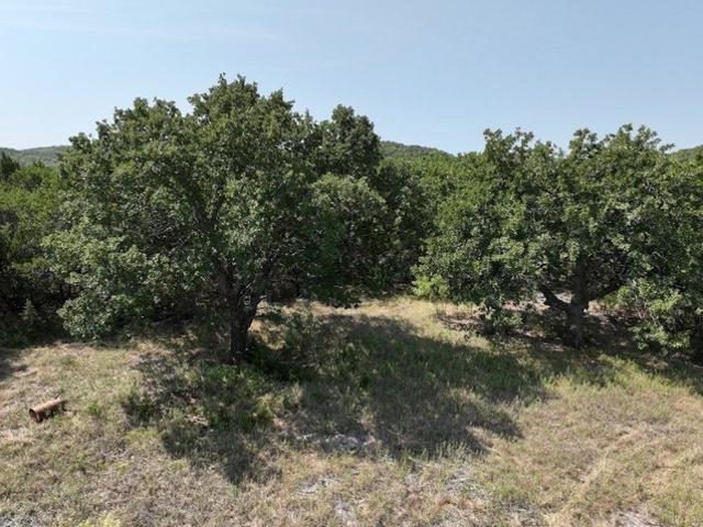 Land for sale in Tuscola, Taylor County