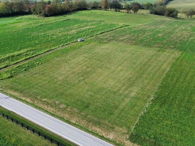 Land for sale in Carlisle, Nicholas County