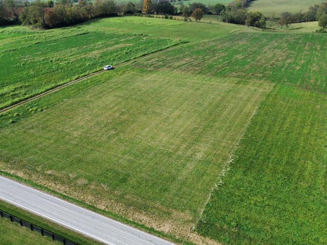 Land for sale in Carlisle, Nicholas County