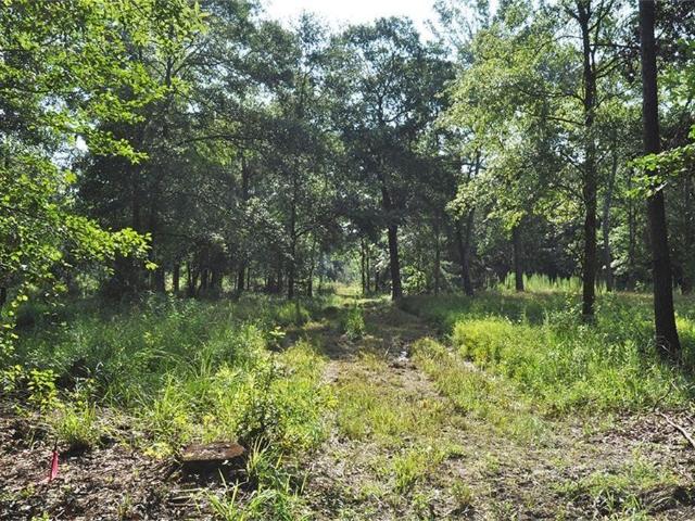 Property for rent in Texas
