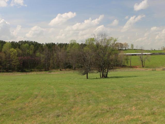 Land for sale in Tennessee