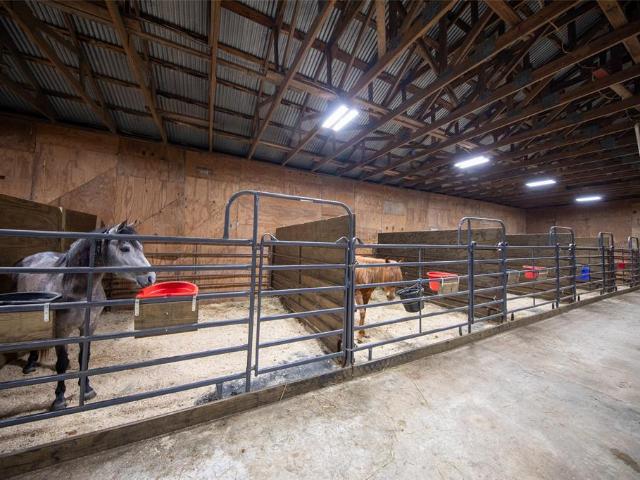 Land for sale in Lamar, Texas