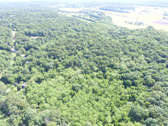 House for sale in Neosho, Missouri