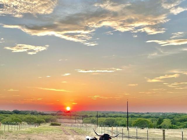 Property for sale in Waelder, Texas