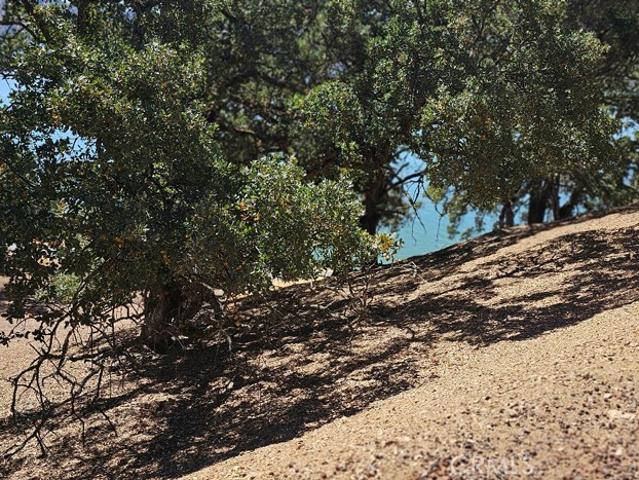 Land for sale in Clearlake Oaks