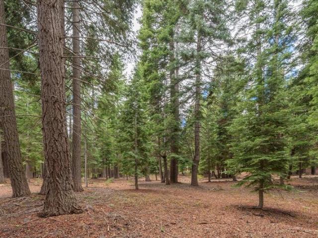 Land for sale in Truckee Land for sale in Truckee