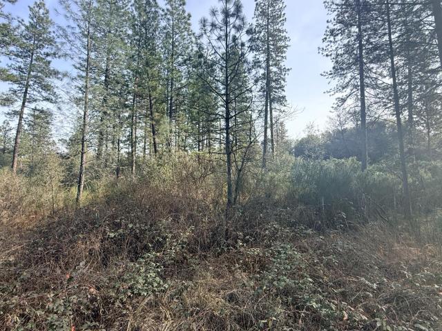 Land for sale in Nevada City, California