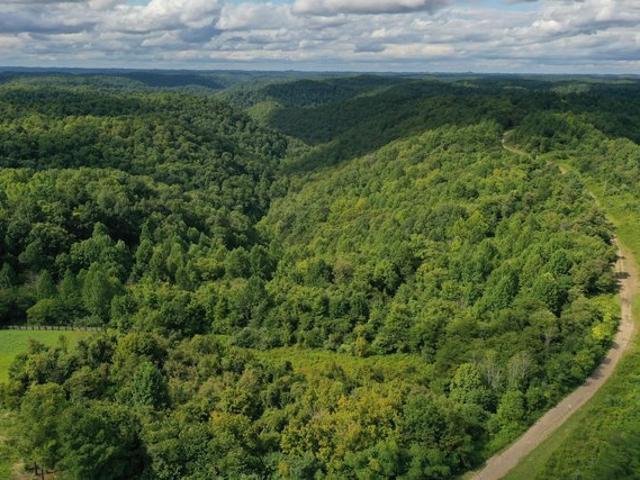 Land for sale in Jackson, Breathitt County