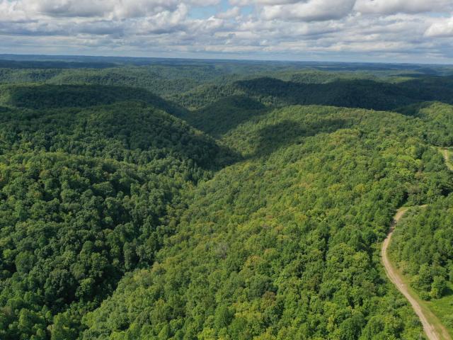 Land for sale in Lambric, Jackson