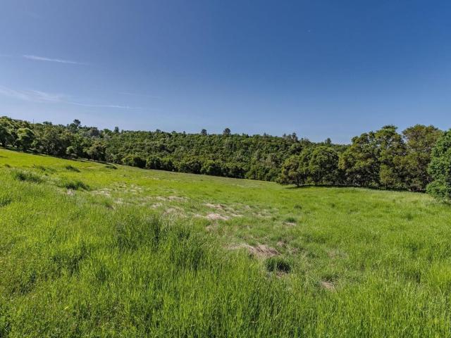 Property for sale in Sutter Creek, California