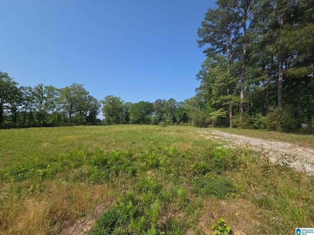 Land for sale in Vance, Alabama