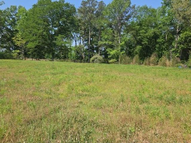 Land for sale in Vance, Alabama