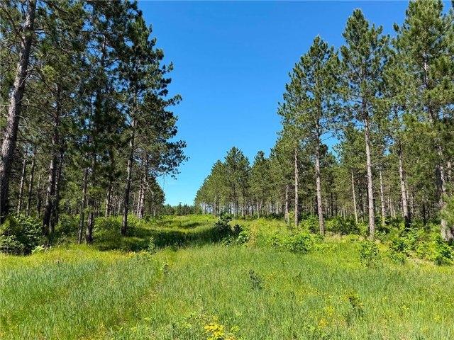 Land for sale in Beltrami, Minnesota