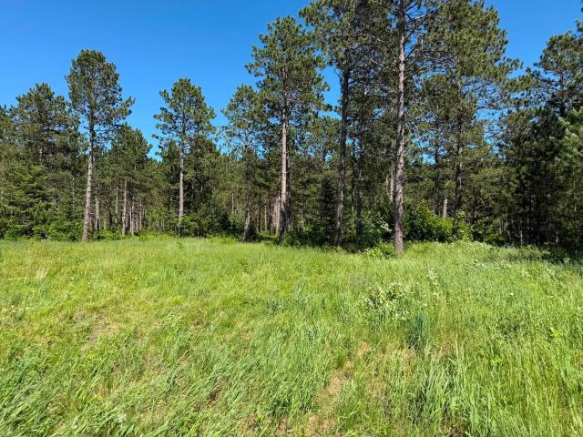 Land for sale in Beltrami, Minnesota