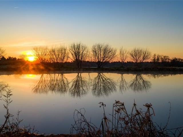 Farm for sale in Lovelady, Texas