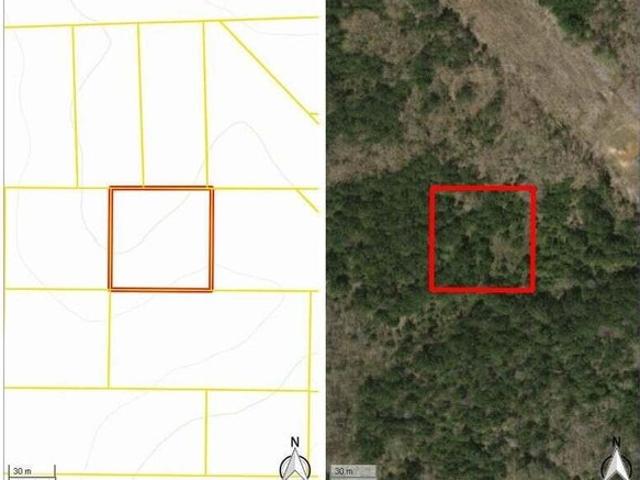 Land for sale in Blue Springs, Mississippi