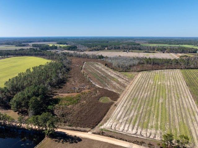 Land for sale in Nashville, Georgia