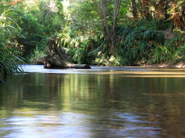 Property for sale in Bay Of Plenty