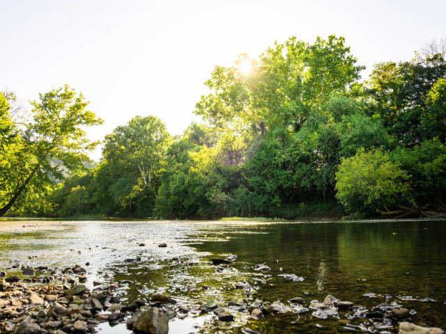 Farm for sale in White Bluff, Middle Tennessee