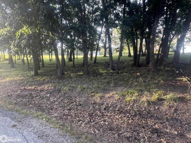 Land for sale in Ringgold, Iowa