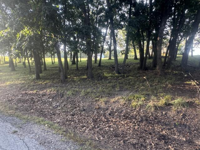 Land for sale in Ringgold, Iowa