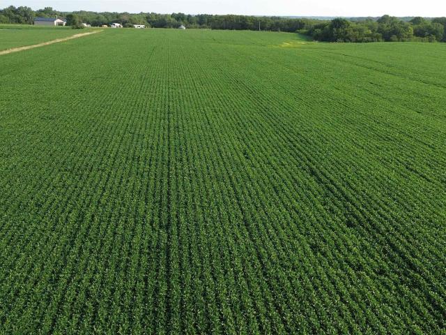 Farm for sale in Moravia, Iowa