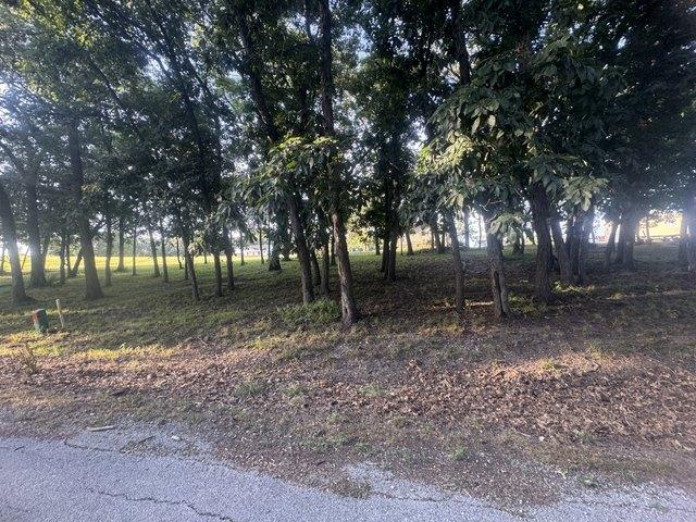 Land for sale in Ringgold, Iowa