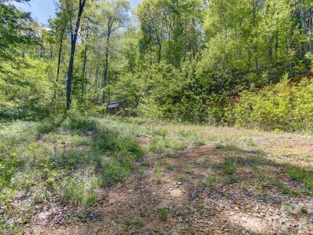 Land for sale in Candler, North Carolina