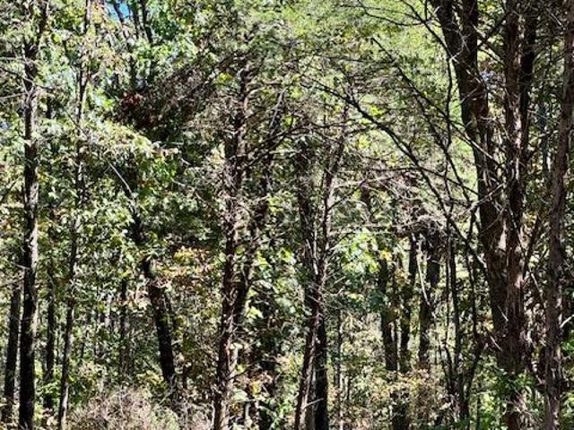 Property for sale in Wright City, Missouri