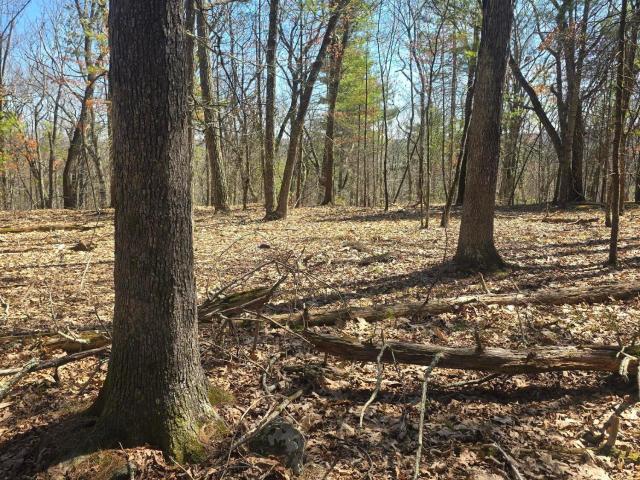 Land for sale in Beach Lake, Pennsylvania