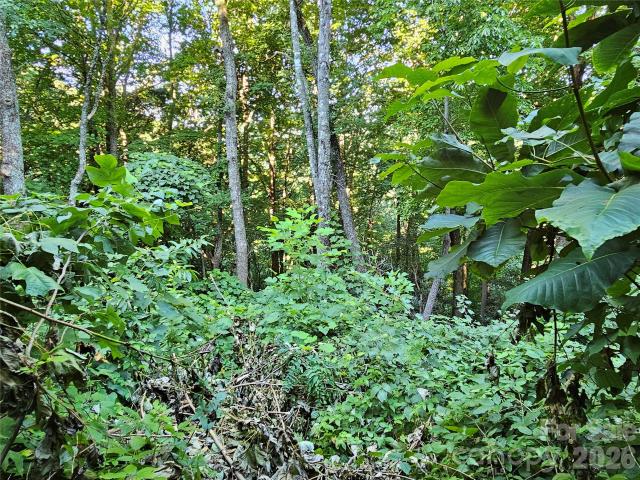 Land for sale in Yancey, North Carolina