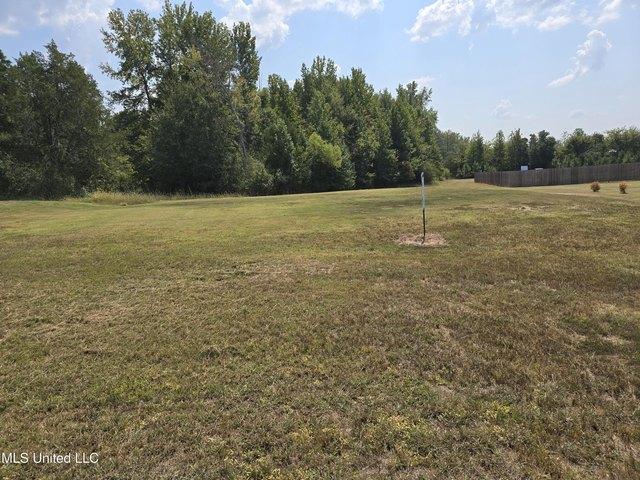 Land for sale in Tate, Mississippi
