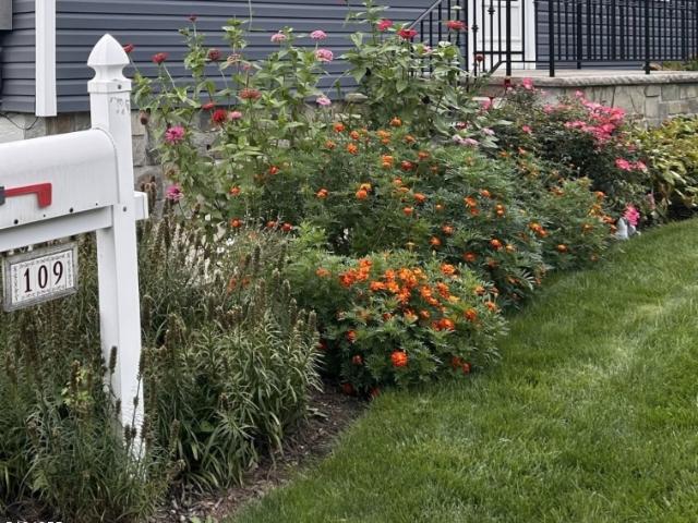 House for sale in Lake Hiawatha, Parsippany-Troy Hills