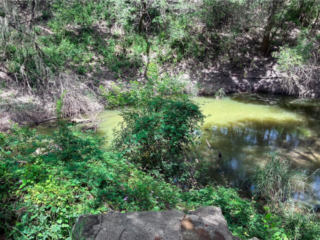 Land for sale in Three Rivers, Texas