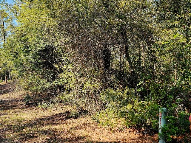 Land for sale in Sneads Ferry, North Carolina