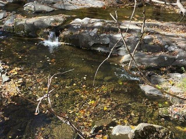 House for sale in Town of Cairo, Greene County