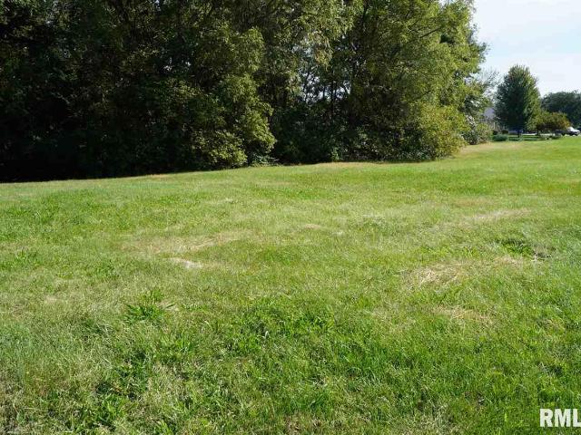Land for sale in Colona, Illinois
