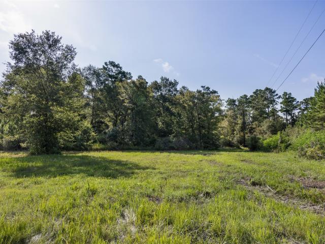 Land for sale in Walker, Texas