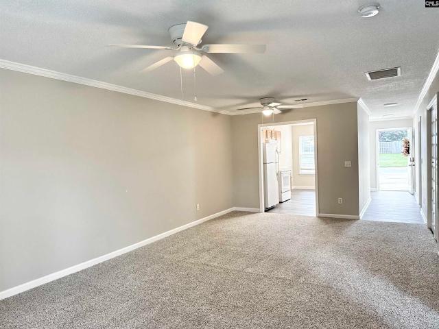 House for sale in Chapin, South Carolina